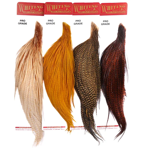 Capa Whiting Pro Grade 1/2 - Imagen 2