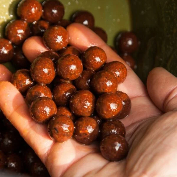 CC Moore Pacific Tuna Session Pack18 mm - Imagen 3