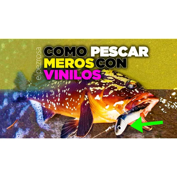 Como pescar Meros desde orilla con señuelos