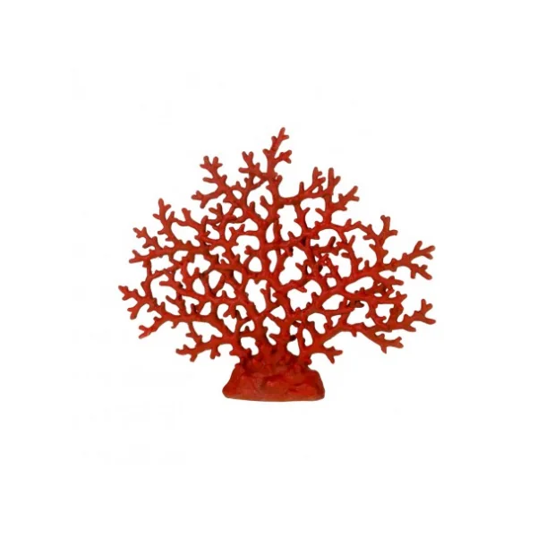 Coral marino decorativo