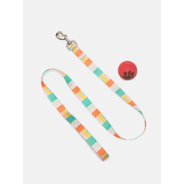 Correas para Perro Personalizadas
