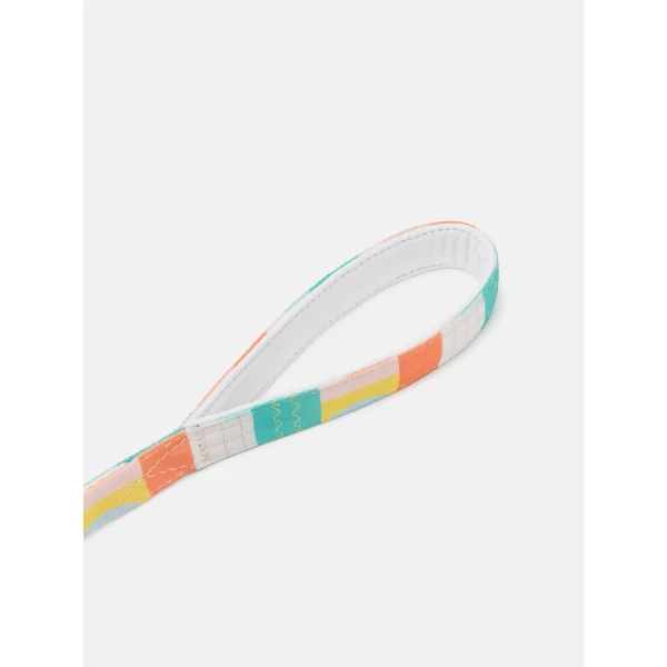 Correas para Perro Personalizadas - Imagen 2