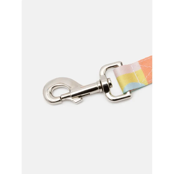 Correas para Perro Personalizadas - Imagen 4