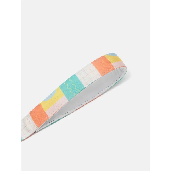 Correas para Perro Personalizadas - Imagen 5