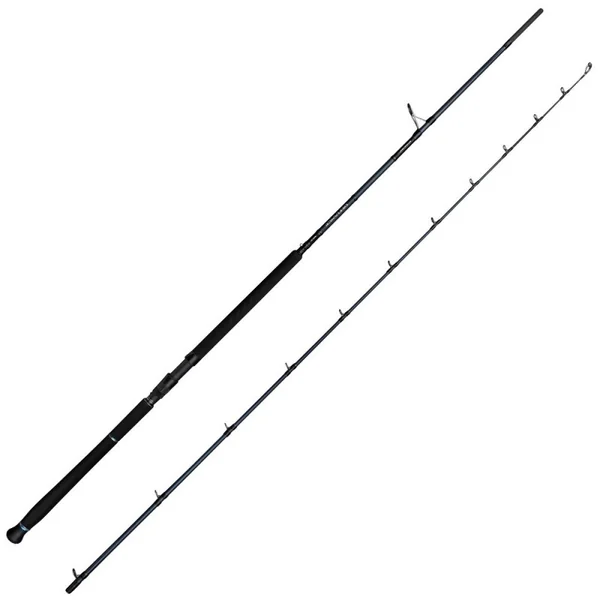 Defiance SG2 Shore Jigging 305 MH 30-100g