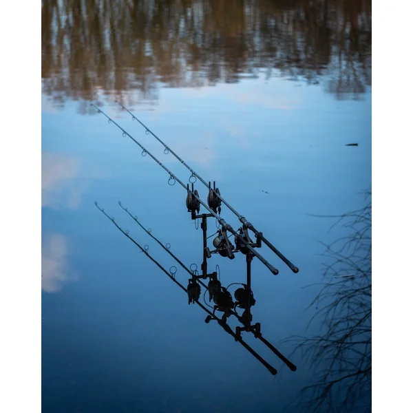 EOS X - 10FT - 3LB - Full Shrink - Caña de carpa - Imagen 12