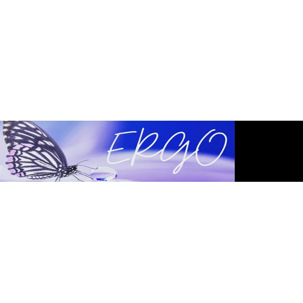 ERGO Black - Imagen 2