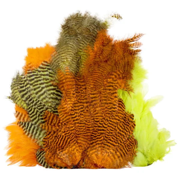 Ewing Body Marabou Patch nº 1 - Imagen 2