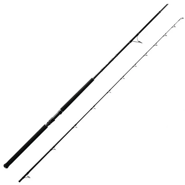 F-15 SHORE JIG 304cm 30-100g
