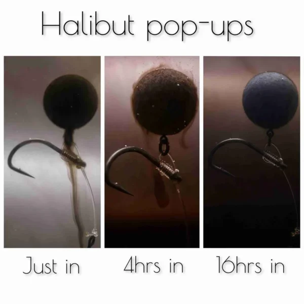 Forgotten Flavours Halibut pop-ups 15mm - Imagen 3
