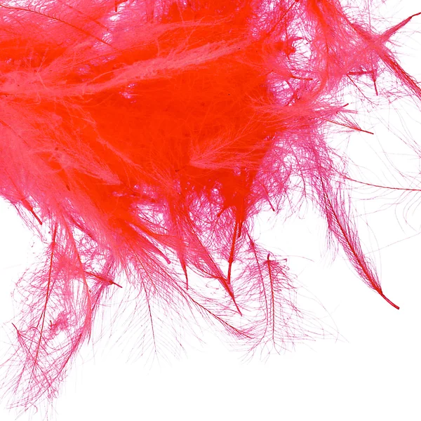 Fulling Mill Plumas CDC Paquete de 3g a granel