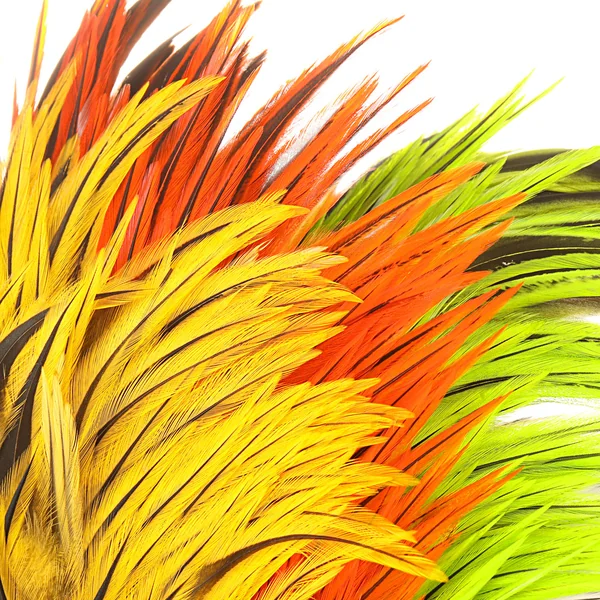 Future Fly Gallo de agua dulce Silla Tejón - Imagen 2