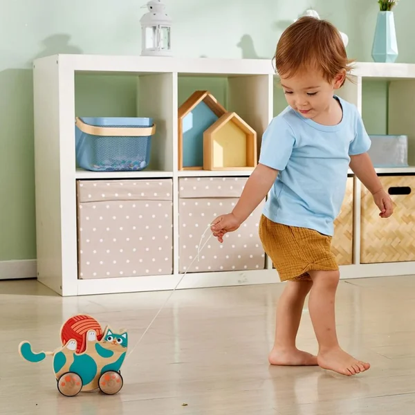 Hape Roll & Rattle Kitten 12m+ - Imagen 2