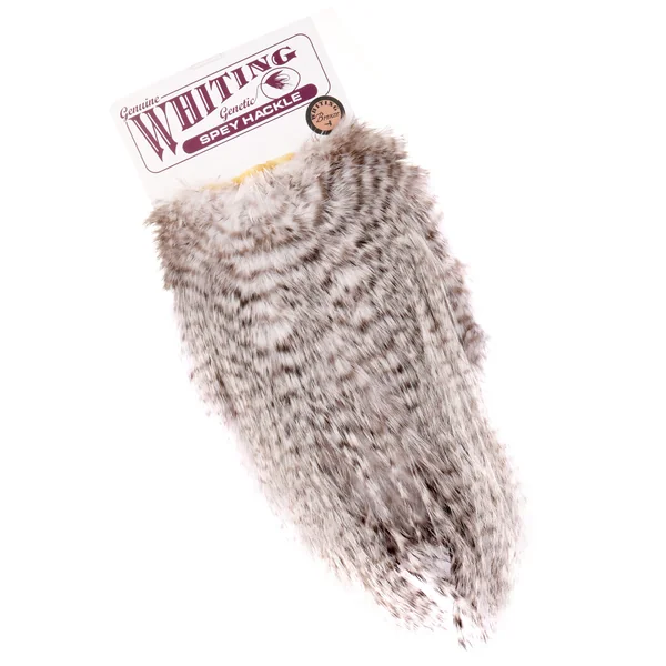 Montura Whiting Bronze Spey Hackle