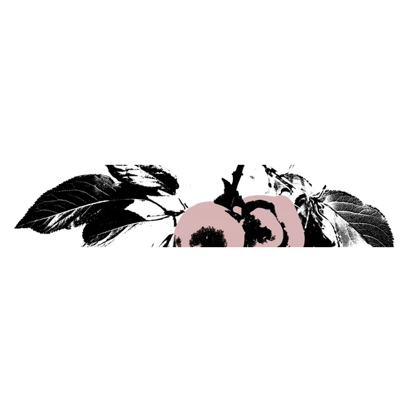 MXCH - Imagen 2