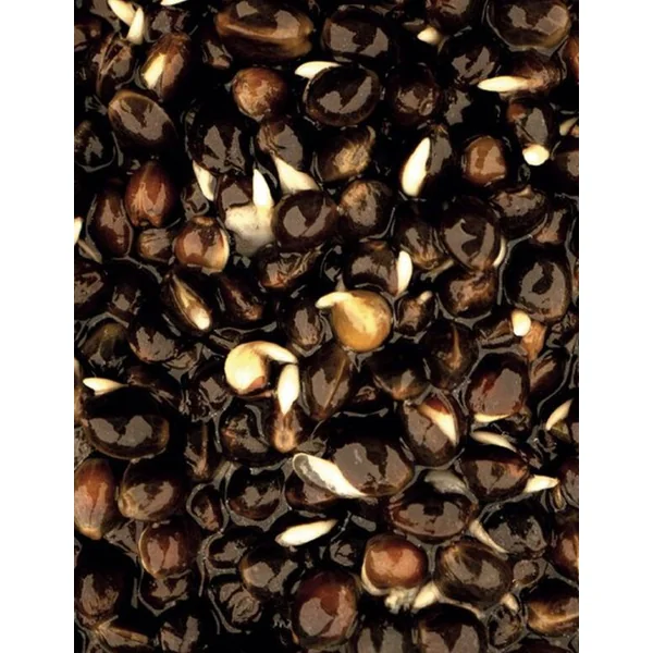 Nash Oily Hemp 500ml - Imagen 2