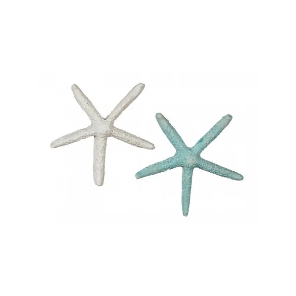 Pack de 24 estrellas de mar