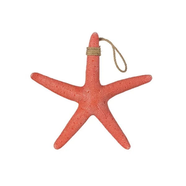 Pack de 4 estrellas de mar