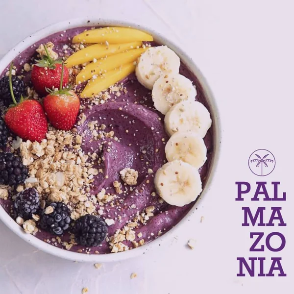 Palmazonia Pure Acai 500gr - Imagen 3
