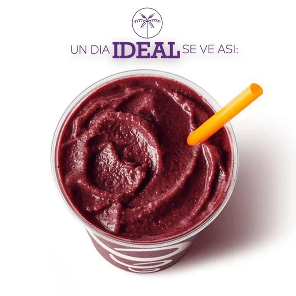 Palmazonia Pure Acai 500gr - Imagen 5