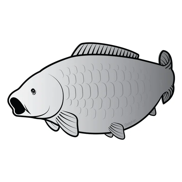 Pegatina Carpa SILVER