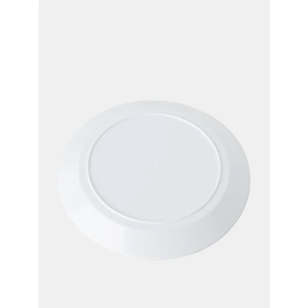 Platos de Plástico Personalizados - Imagen 5