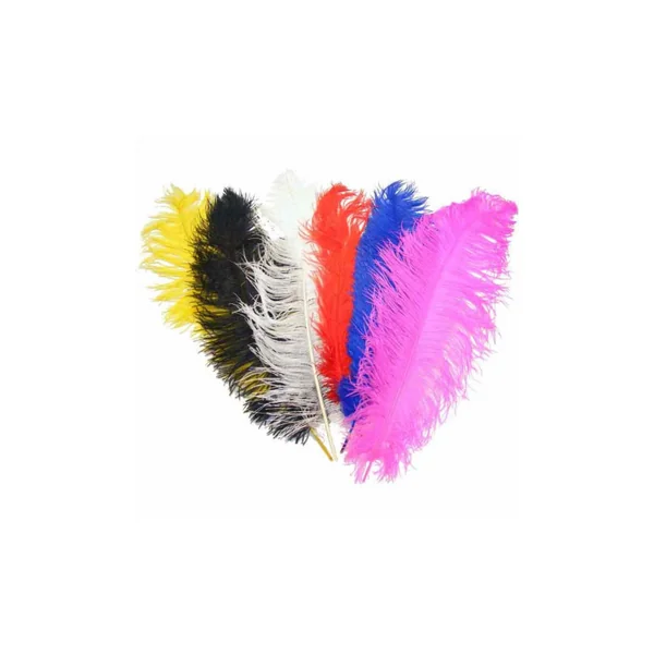 Pluma de Avestruz Long Chick 40x13cm - Imagen 2
