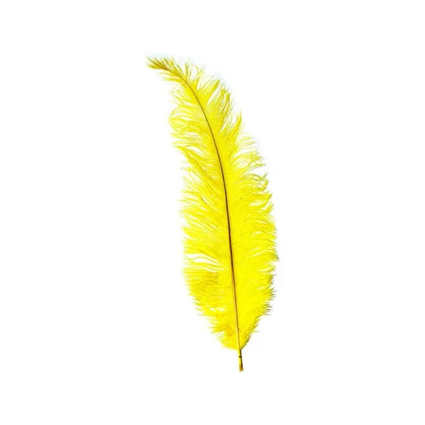 Pluma de Avestruz Long Chick 40x13cm - Imagen 3