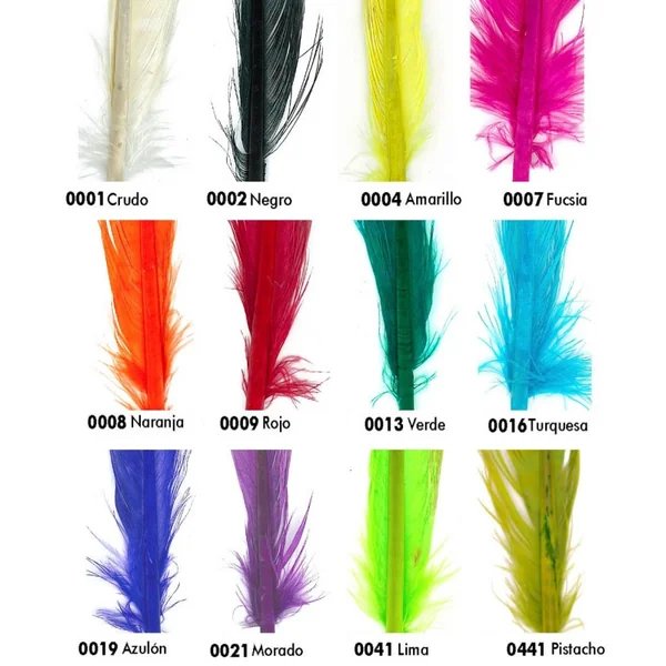 Pluma de Faisán 43cm - Imagen 2