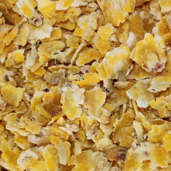 Pro Elite Baits Corn Flakes 1kg - Imagen 2