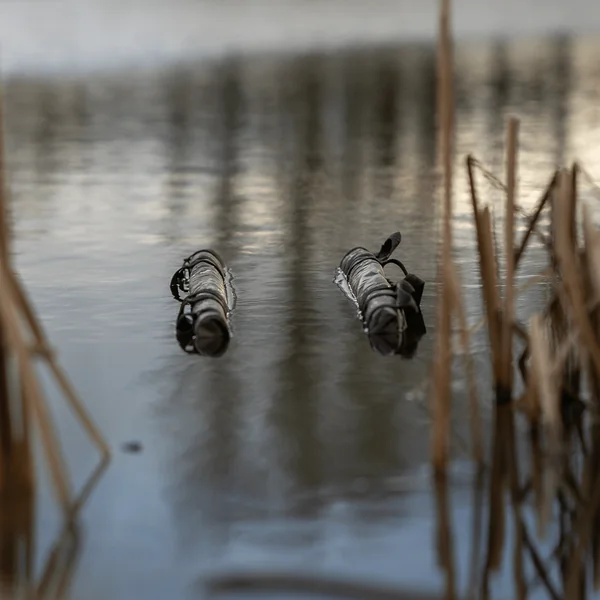 PRO-Tect Eslinga Flotante - Imagen 13