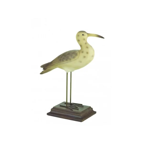 Pájaro marino COURLIS