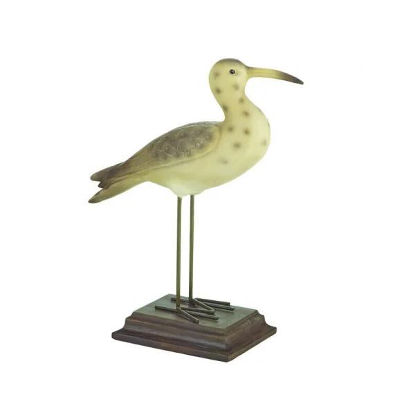 Pájaro marino COURLIS - Imagen 2