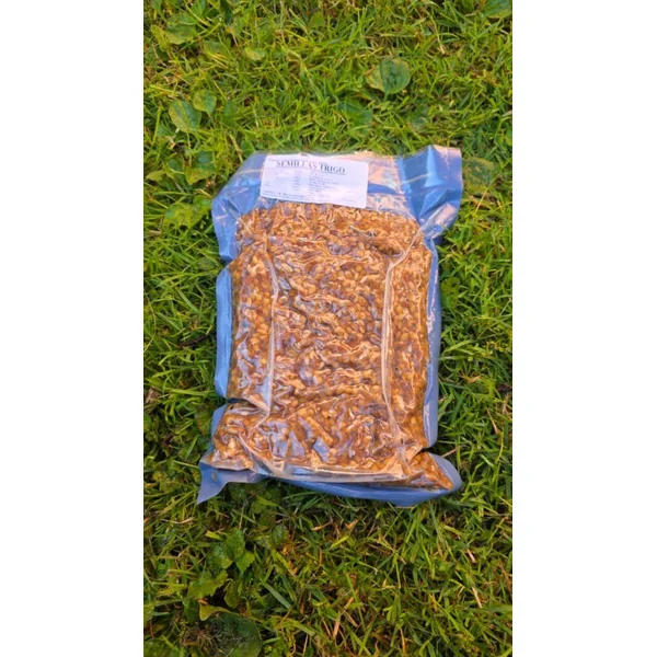 Quality Seeds Trigo 1kg