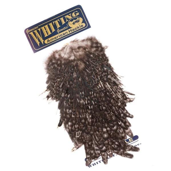 Silla de montar Whiting American Hen