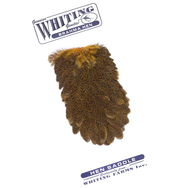Silla de montar Whiting Brahma Hen