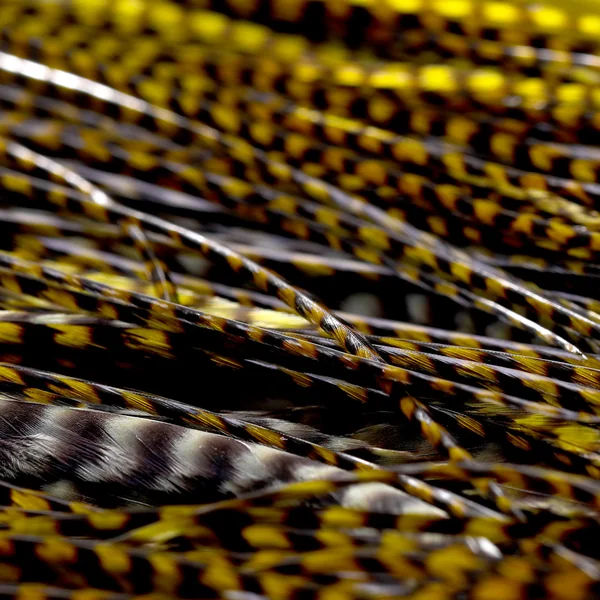 Sillín Whiting Bronce 1/2 - Imagen 4