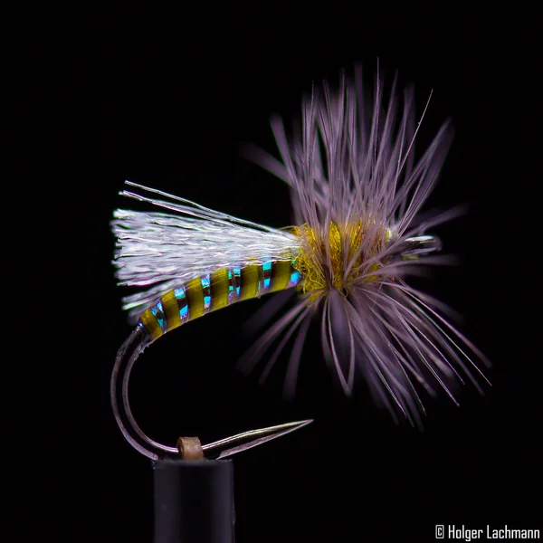 Sillín Whiting Hebert Miner Pro Grade Sillín - Imagen 3