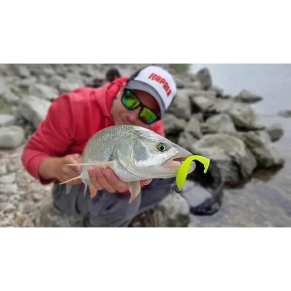 Storm Hit Shad 10 cm - Imagen 9