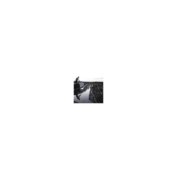 Tabla Paddle Surf Hinchable Ari Inui Viewer 10´6´´ Hinchable - Imagen 2