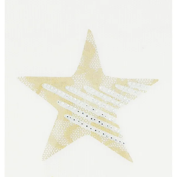 Transfer Ropa 8.5cm x 8.5cm Estrella: Aplique Termoadhesivo