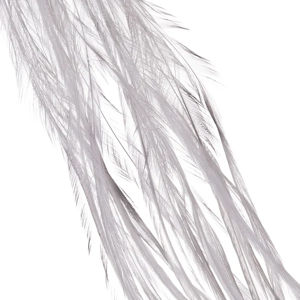 Whiting 100 unidades Talla 12