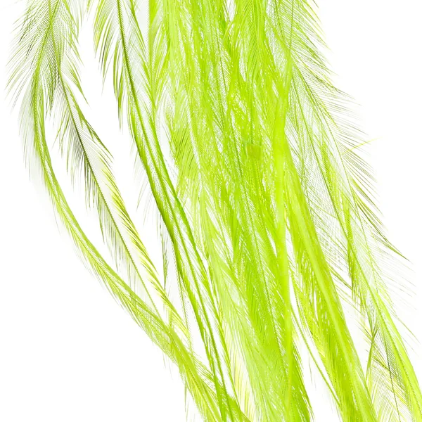Whiting 100 unidades Talla 14