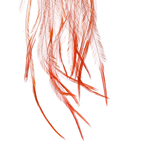 Whiting 100 unidades Talla 14 - Imagen 4