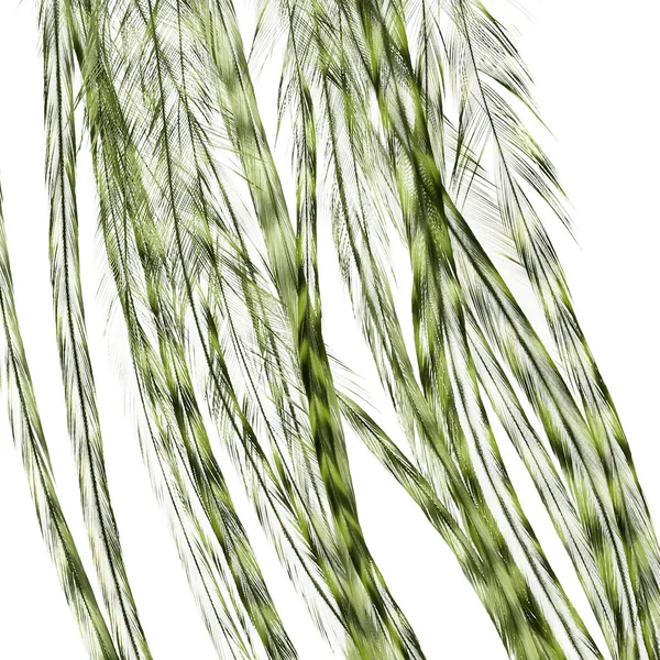 Whiting 100 unidades Talla 16