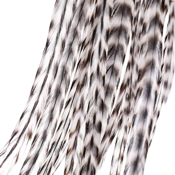 Whiting 100 unidades Talla 8 Grizzly
