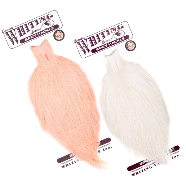 Whiting Cabo Spey Hackle Bronce