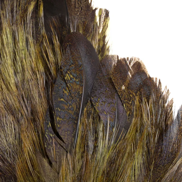 Whiting Coq de Leon Mayfly Tailing Pack - Imagen 3