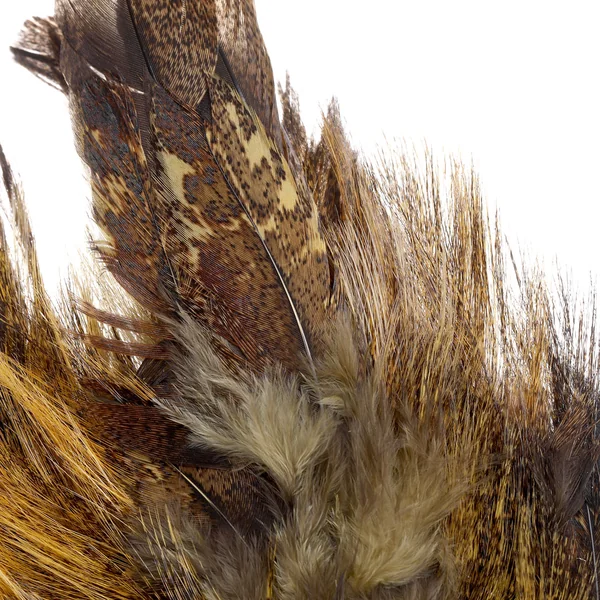 Whiting Coq de Leon Mayfly Tailing Pack - Imagen 5