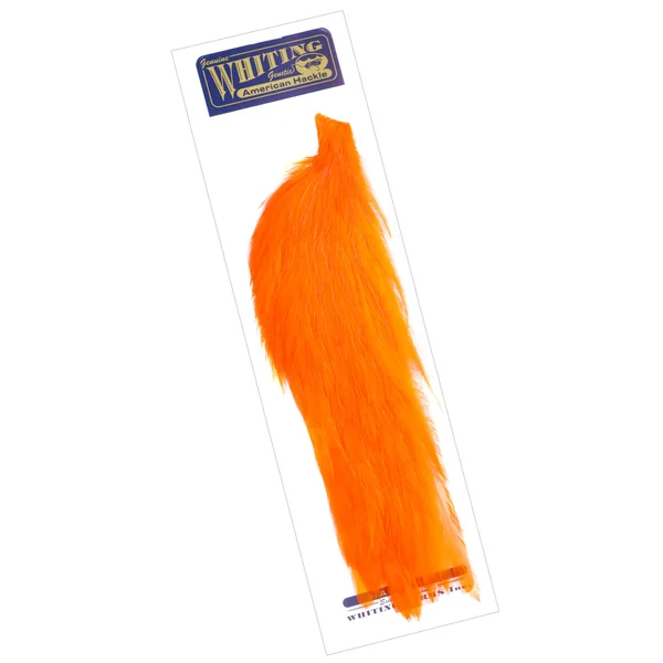 Whiting Gallo Americano 1/2 Capa